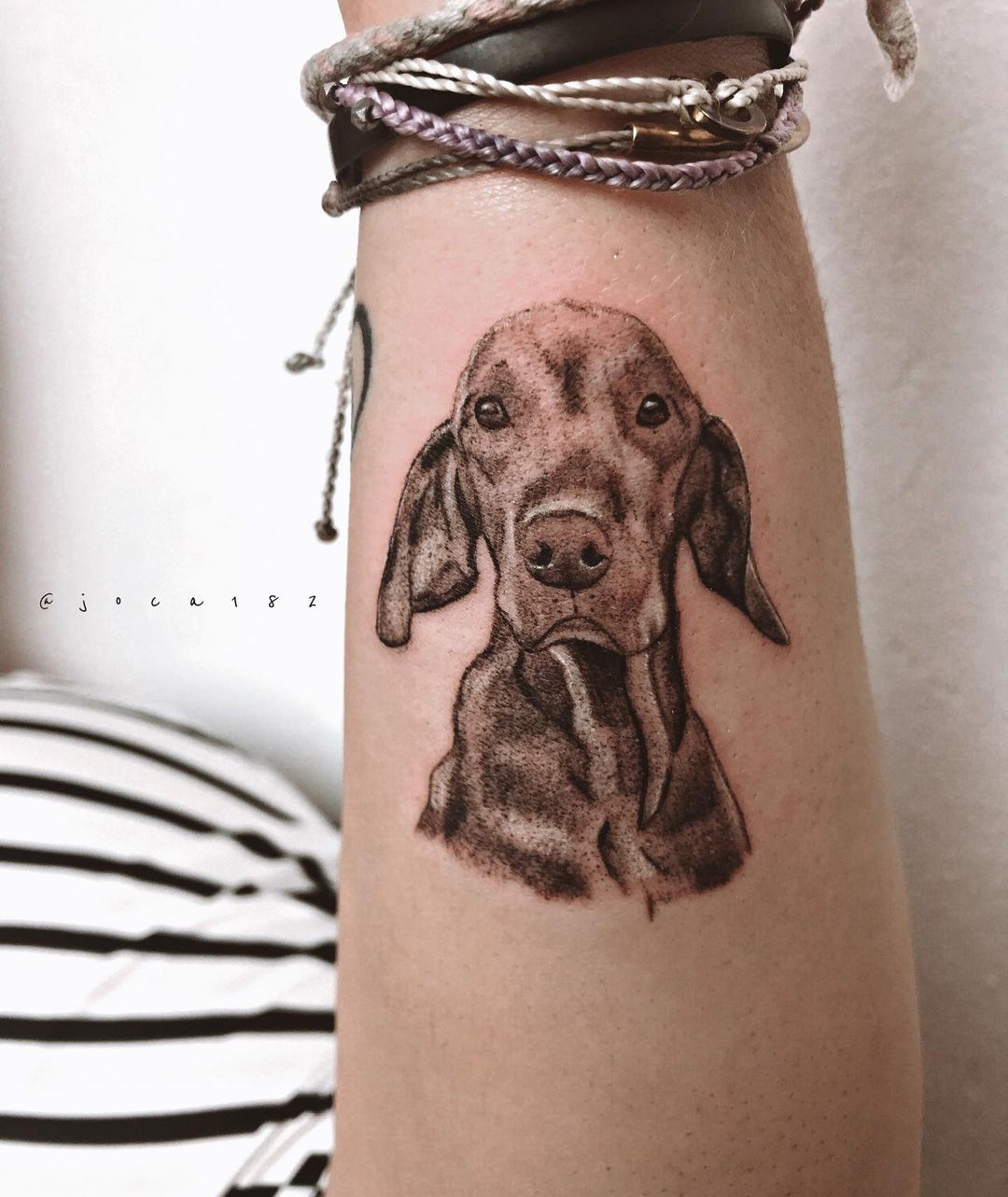 15 Vizsla Tattoo Ideas 10