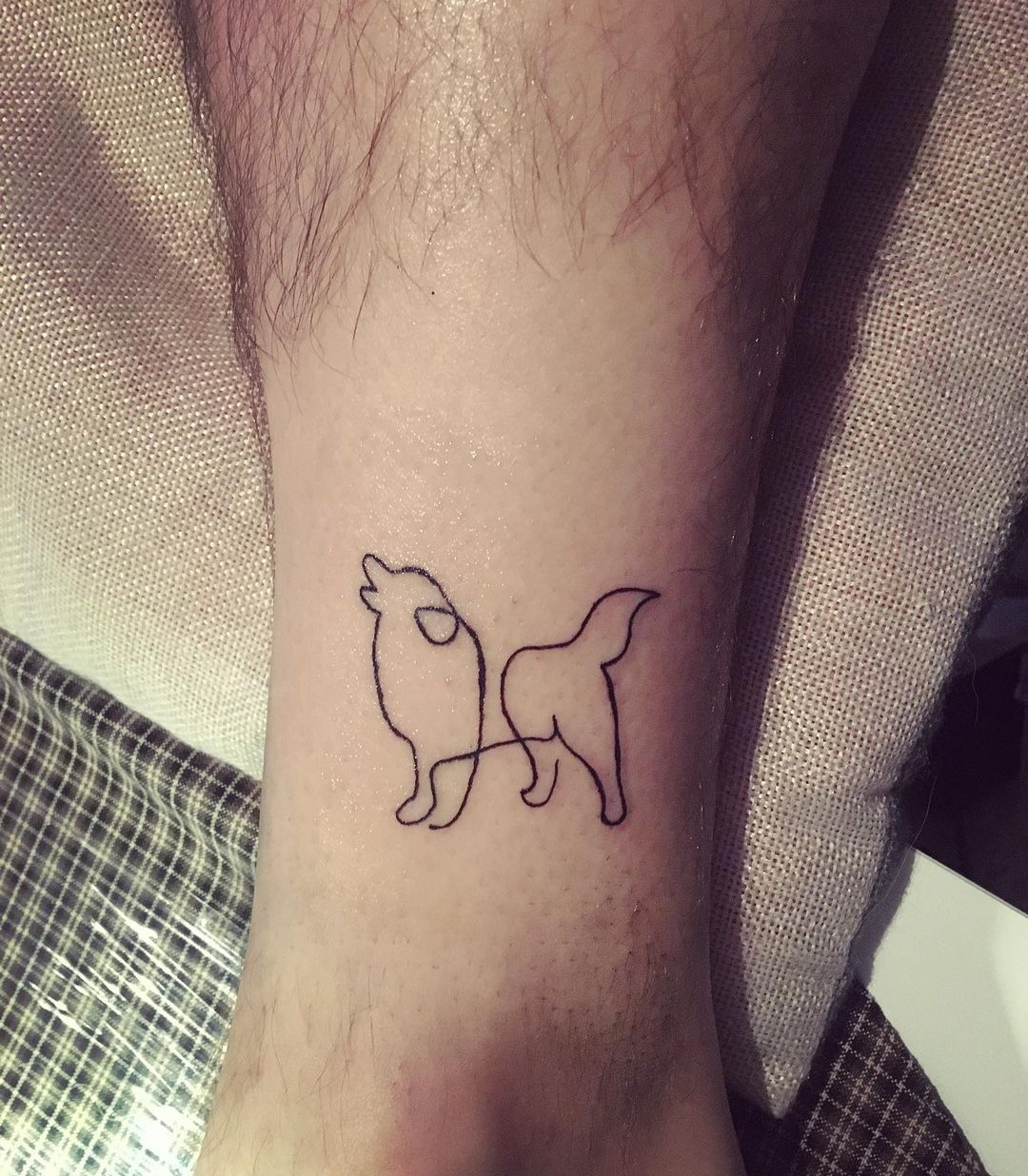 australian shepherd tattoo ideasTikTok Search
