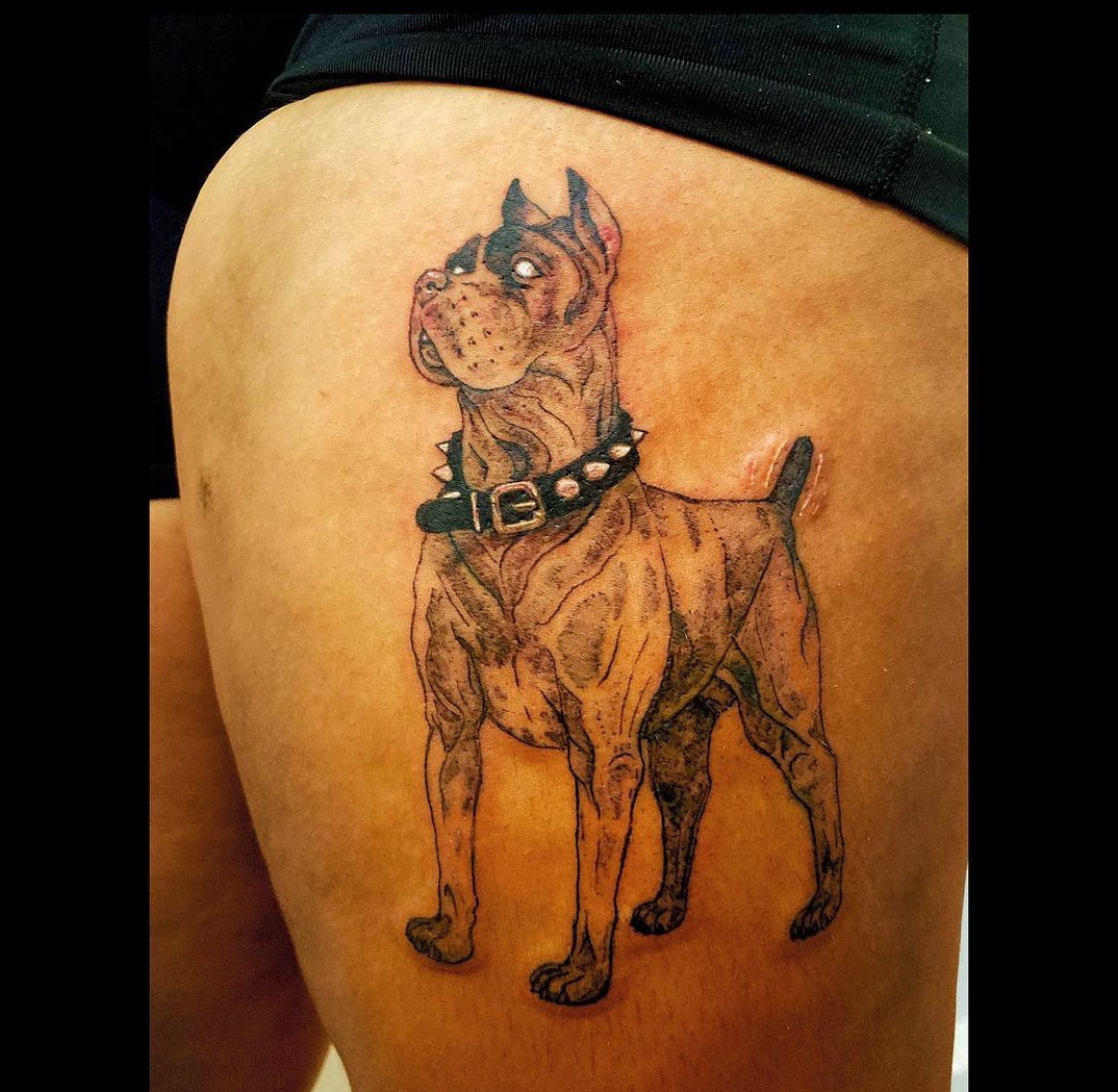 15 Tattoo Ideas With Cane Corso 9