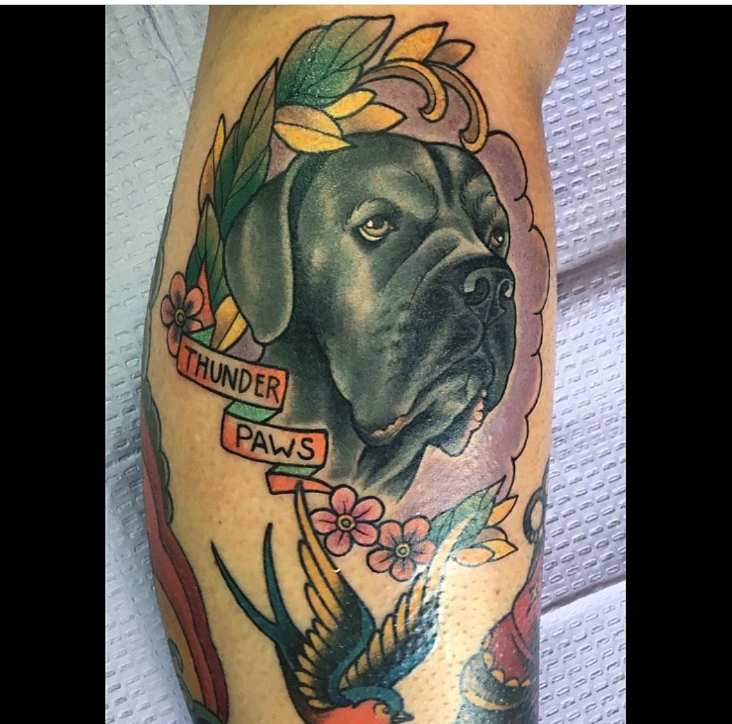 15 Tattoo Ideas With Cane Corso 11