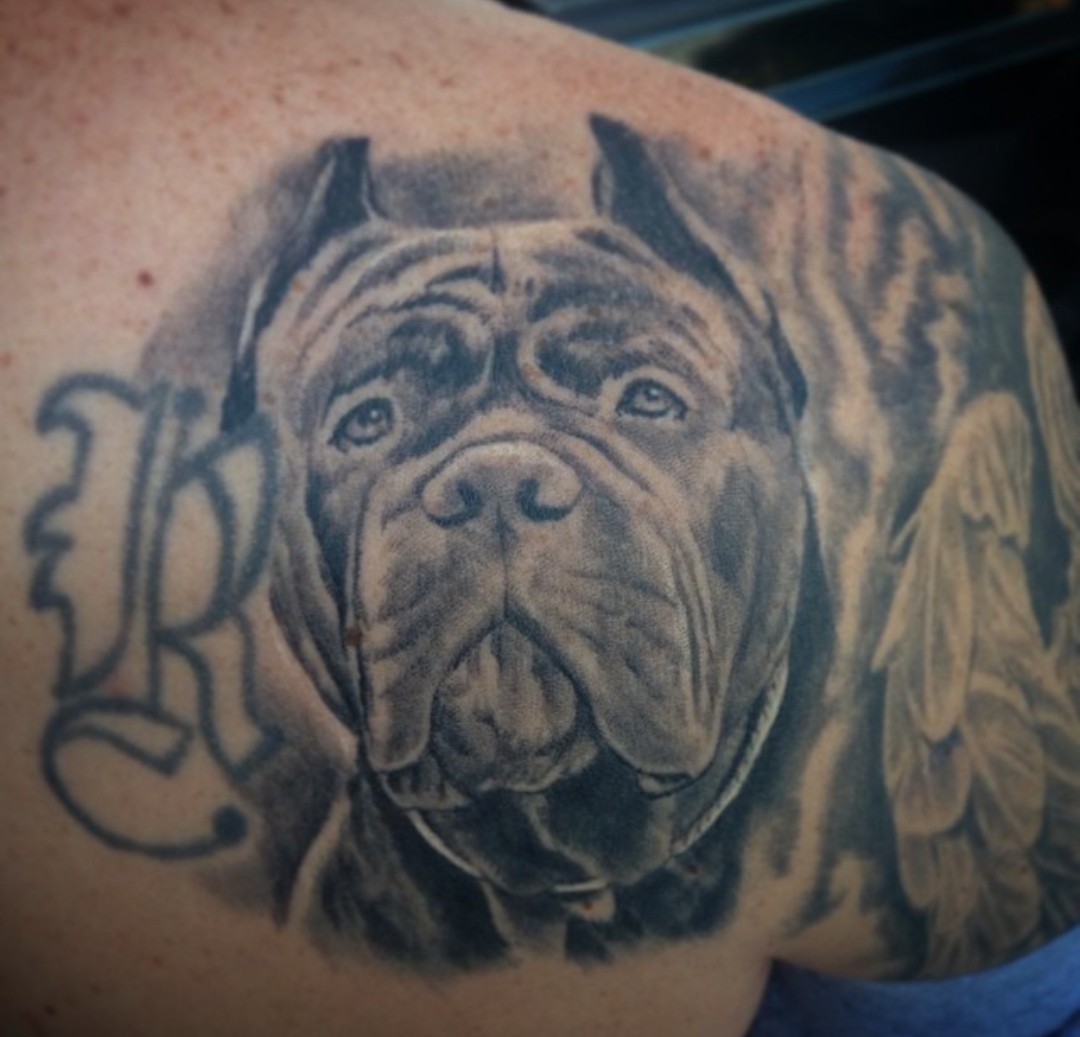 15 Tattoo Ideas With Cane Corso 10