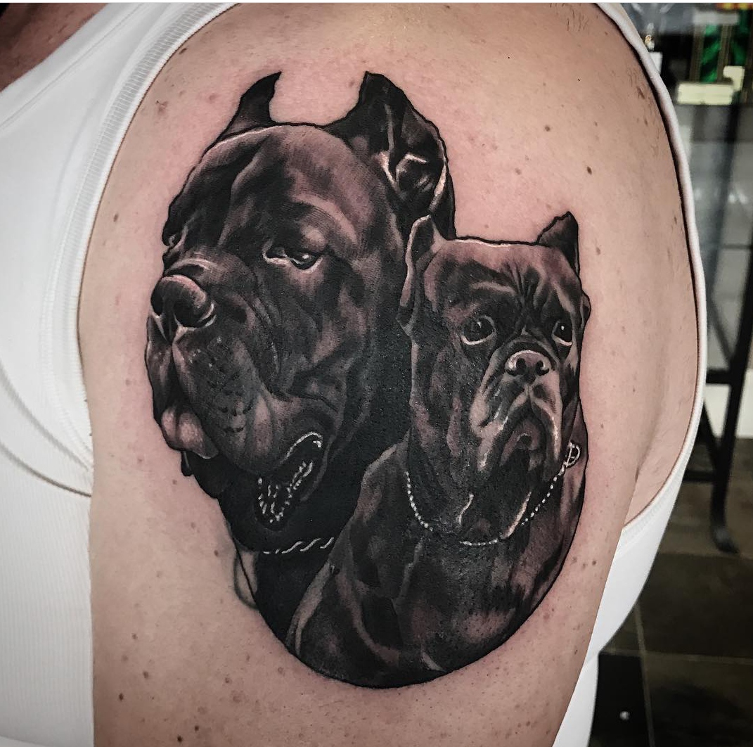 15 Tattoo Ideas With Cane Corso 11