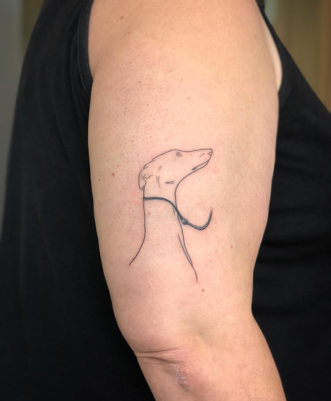 15 Greyhound Tattoo Ideas 10