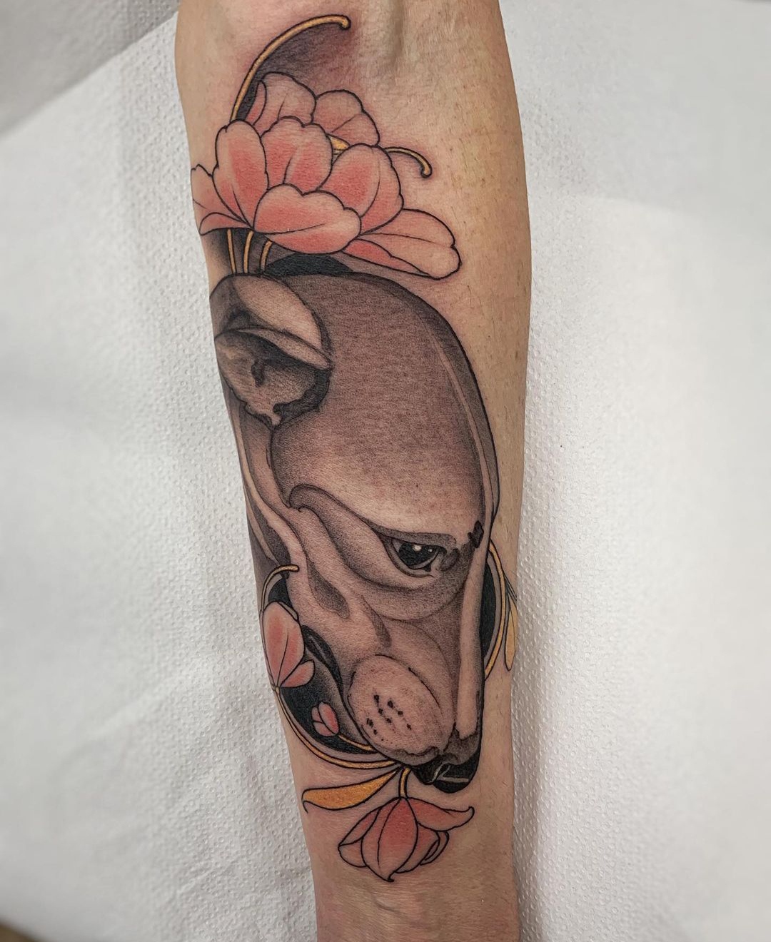 15 Greyhound Tattoo Ideas 10