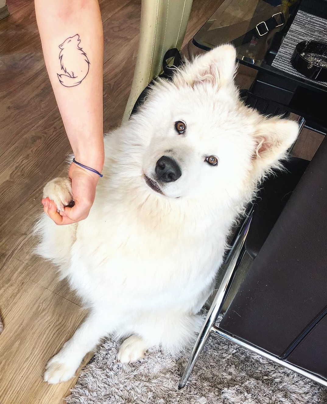 15 Ideas for Samoyed Tattoo 10