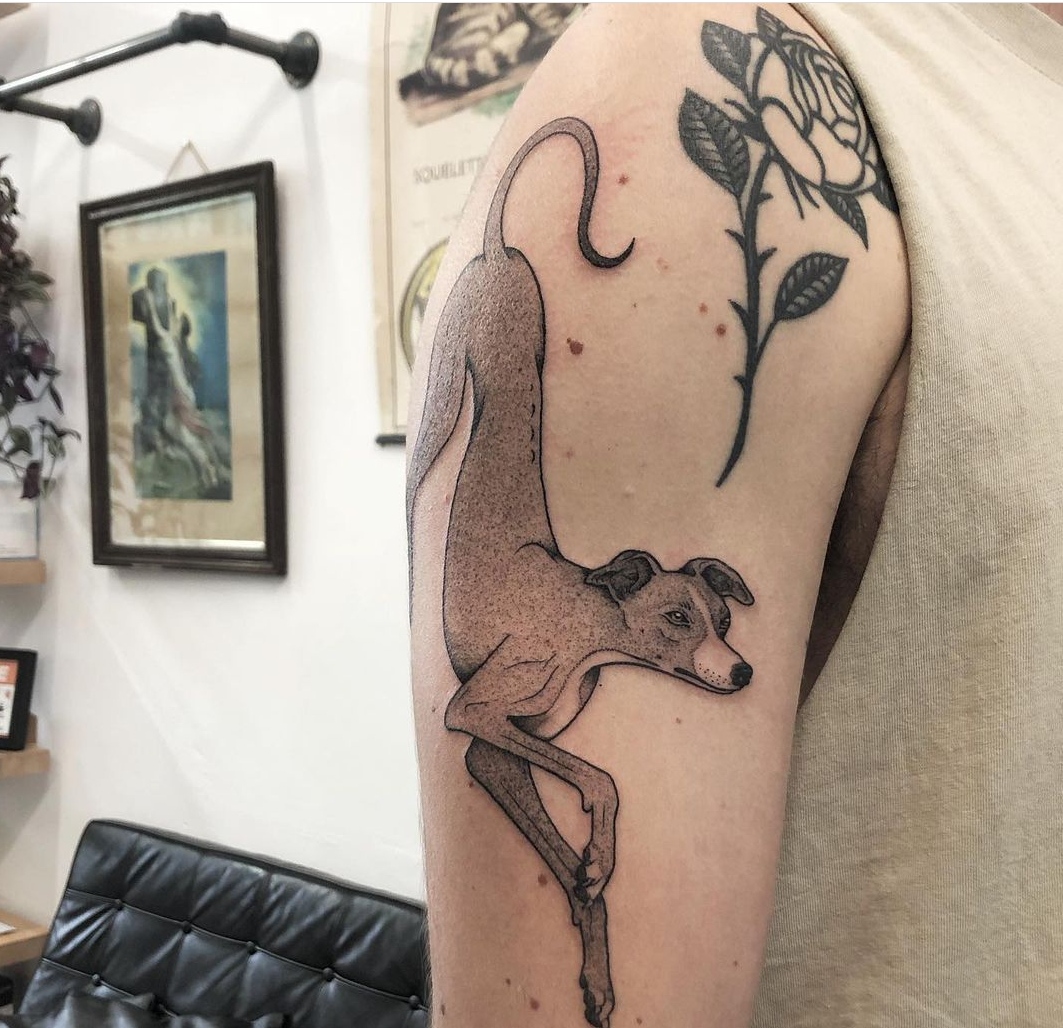 15 Ideas for Whippet Tattoo 9