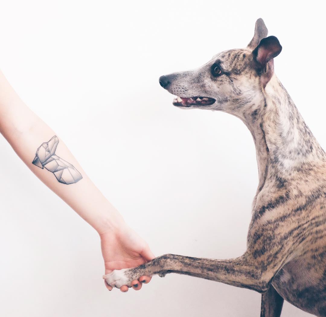 15 Ideas for Whippet Tattoo 10