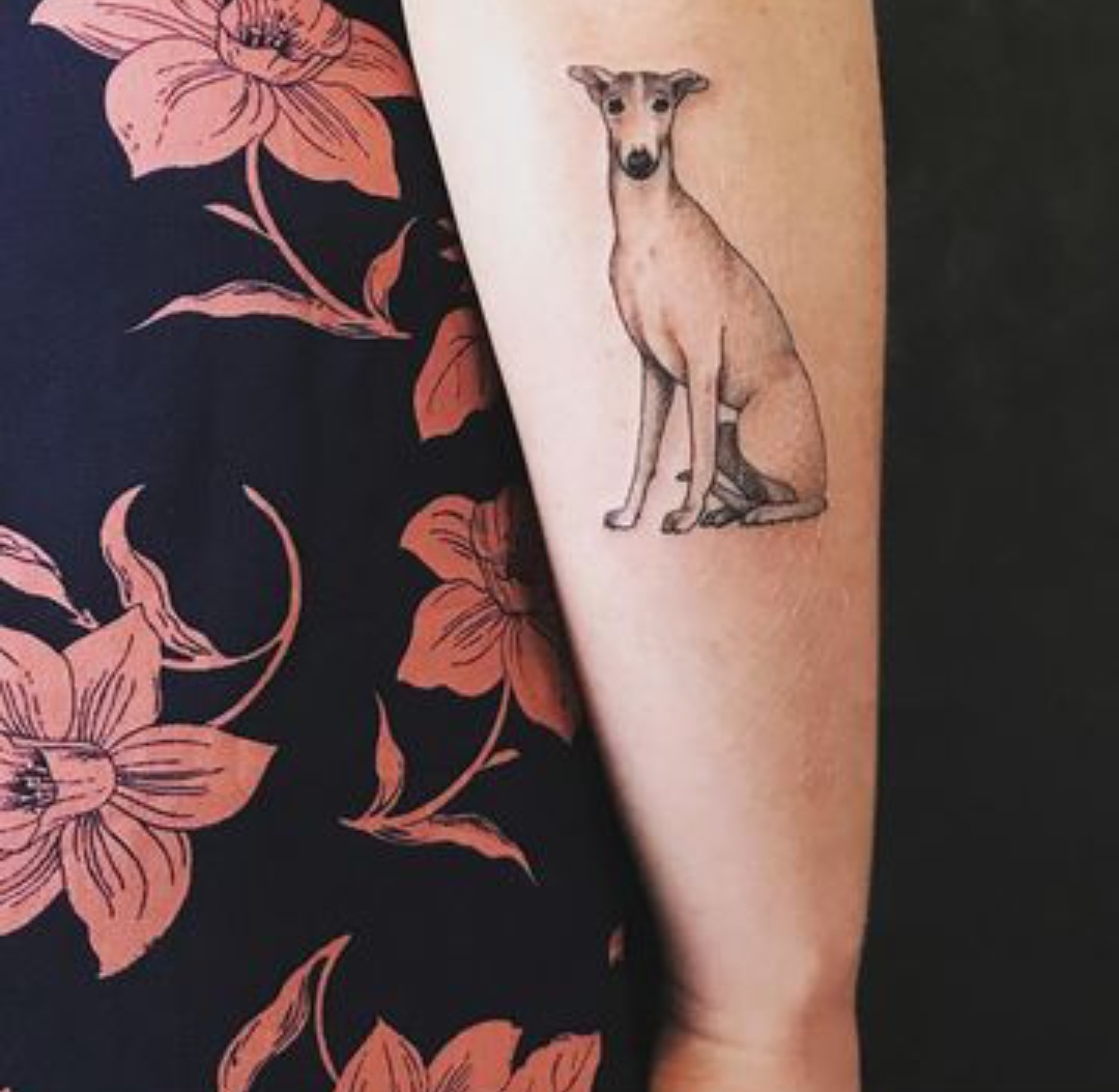 15 Ideas for Whippet Tattoo 10