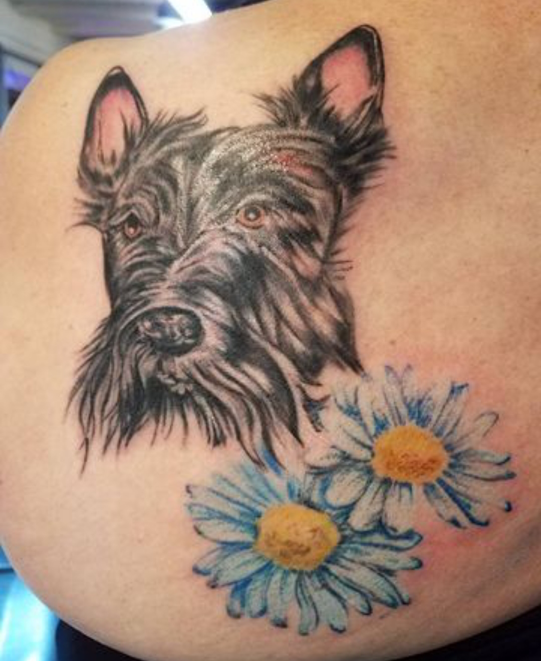 15 Ideas for Scottish Terrier Tattoo 11