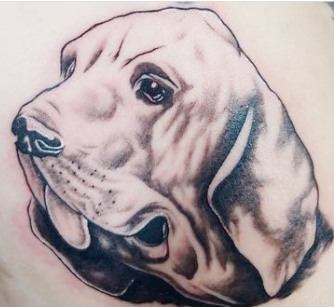 15 Ideas for Bloodhound Tattoo 10