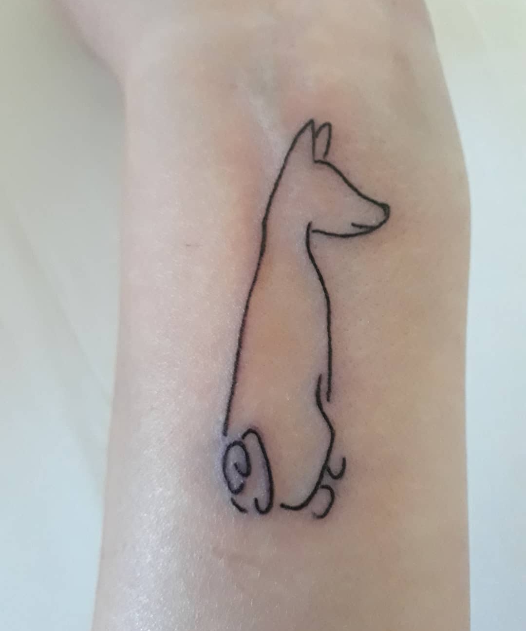 15 Basenji Tattoo Ideas 10
