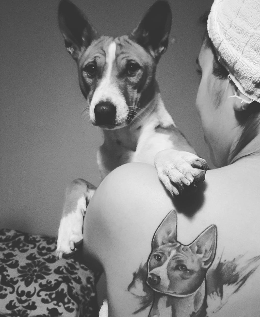15 Basenji Tattoo Ideas 11