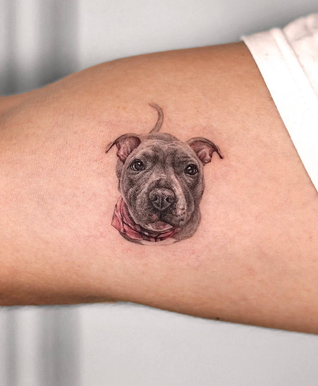 15 Ideas for Pit Bull Tattoo 11