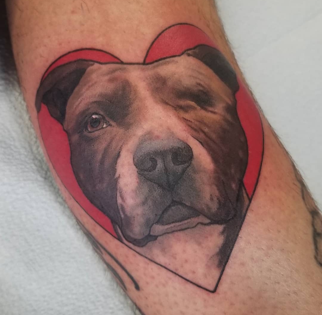 15 Ideas for Pit Bull Tattoo 9
