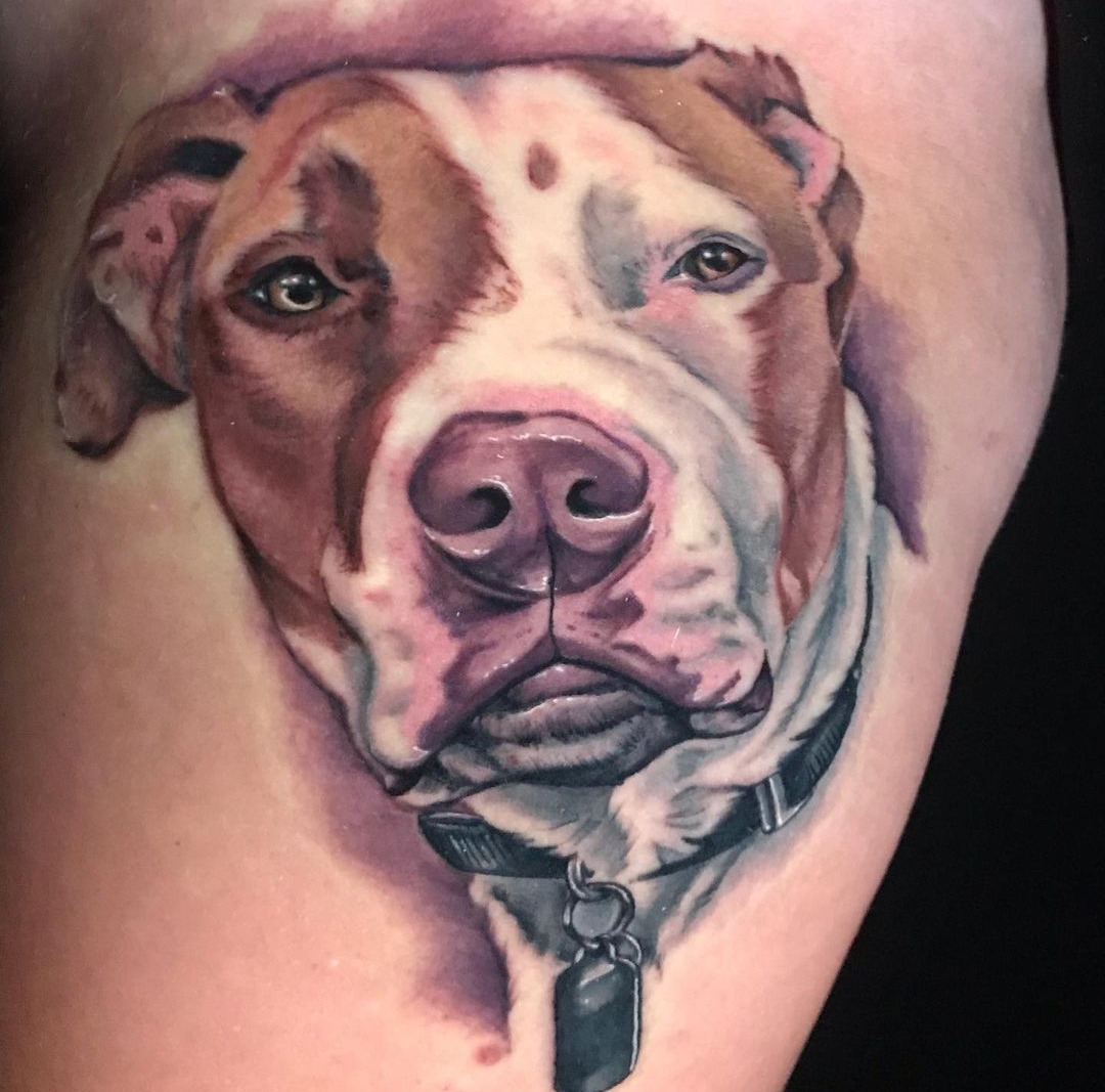 15 Ideas for Pit Bull Tattoo 10