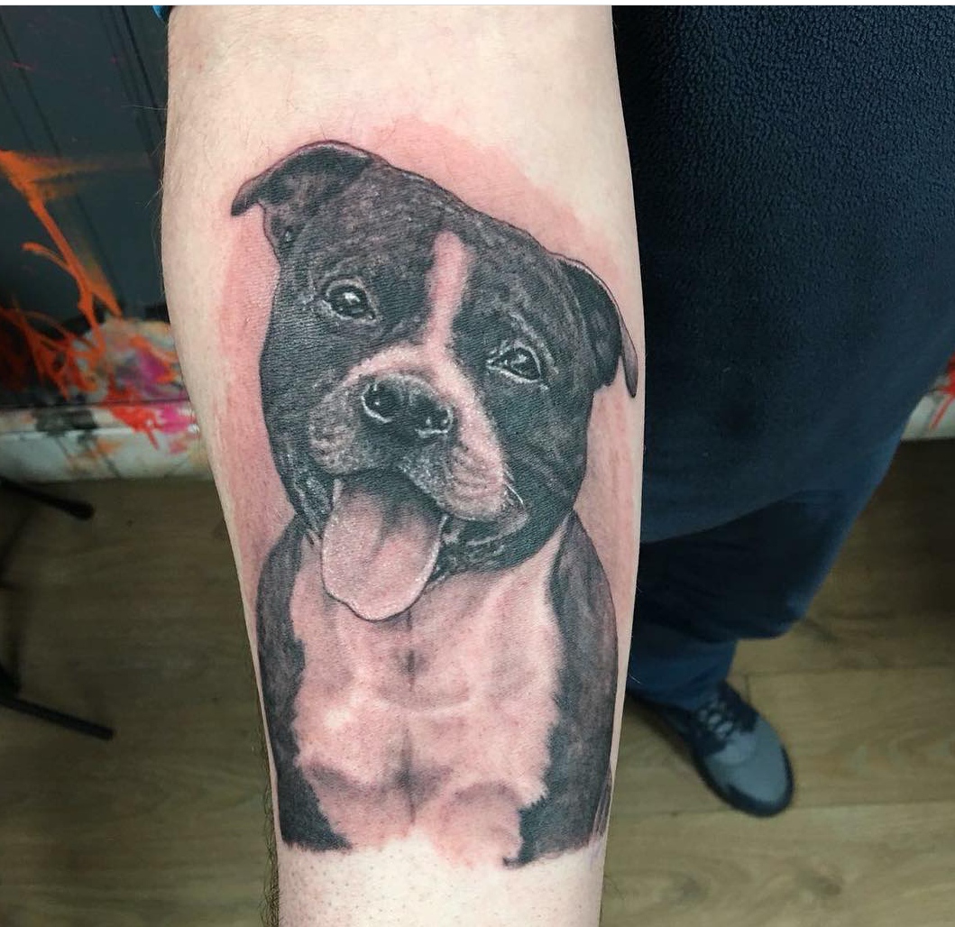15 Ideas for Staffordshire Bull Terrier Tattoo 10