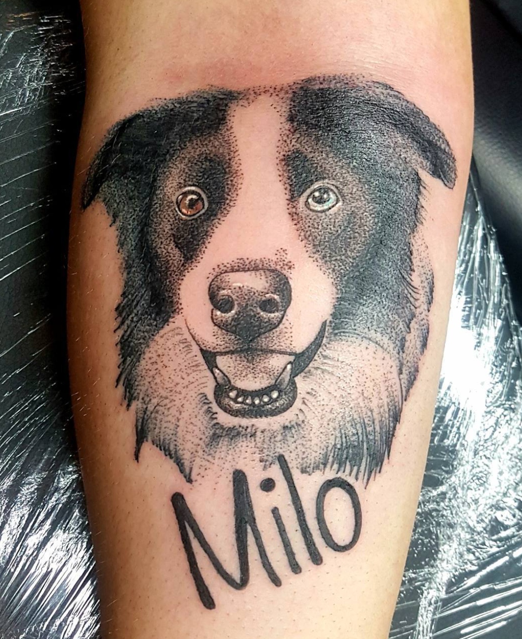 15 Ideas for Collie Tattoo 11