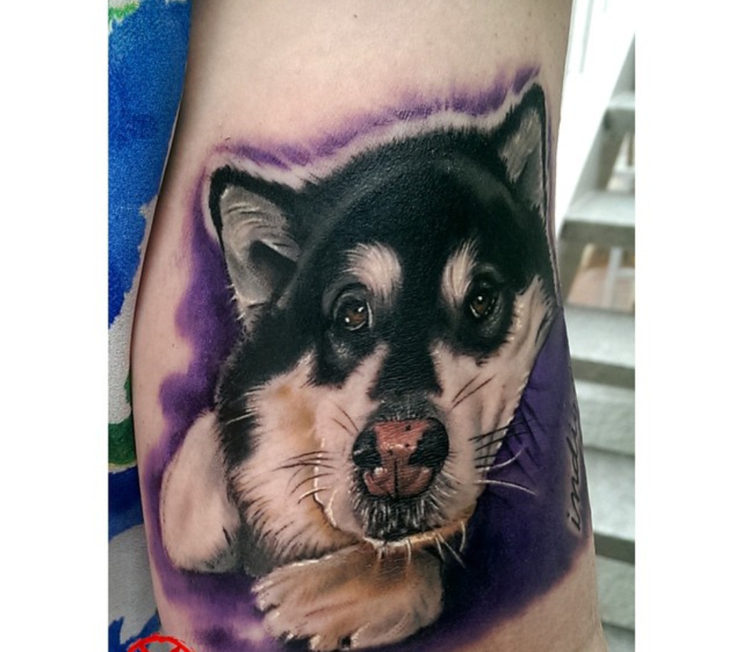15 Alaskan Malamute Tattoo Ideas 9