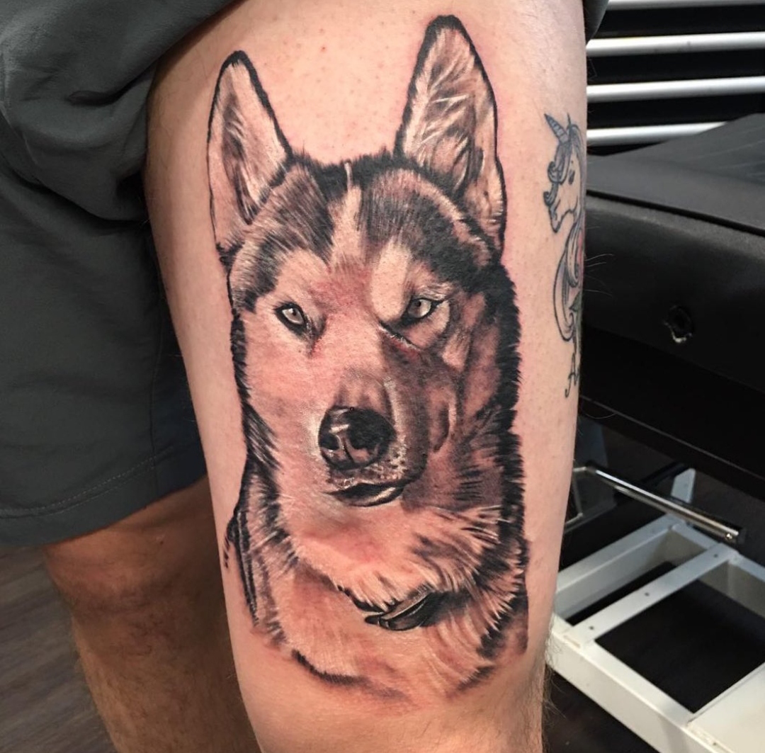 15 Alaskan Malamute Tattoo Ideas 9