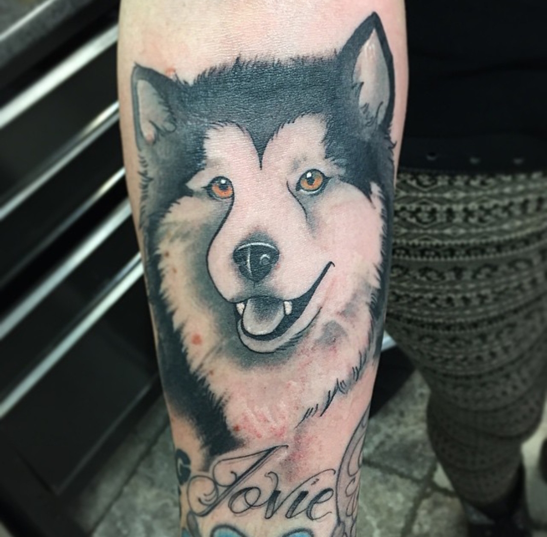 15 Alaskan Malamute Tattoo Ideas 10