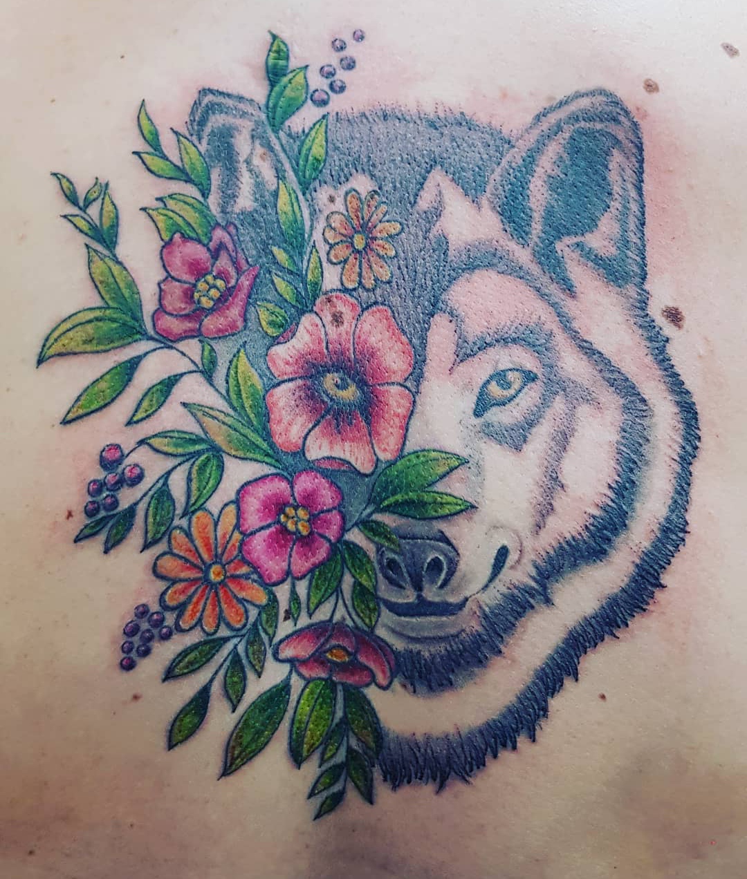 15 Alaskan Malamute Tattoo Ideas 11