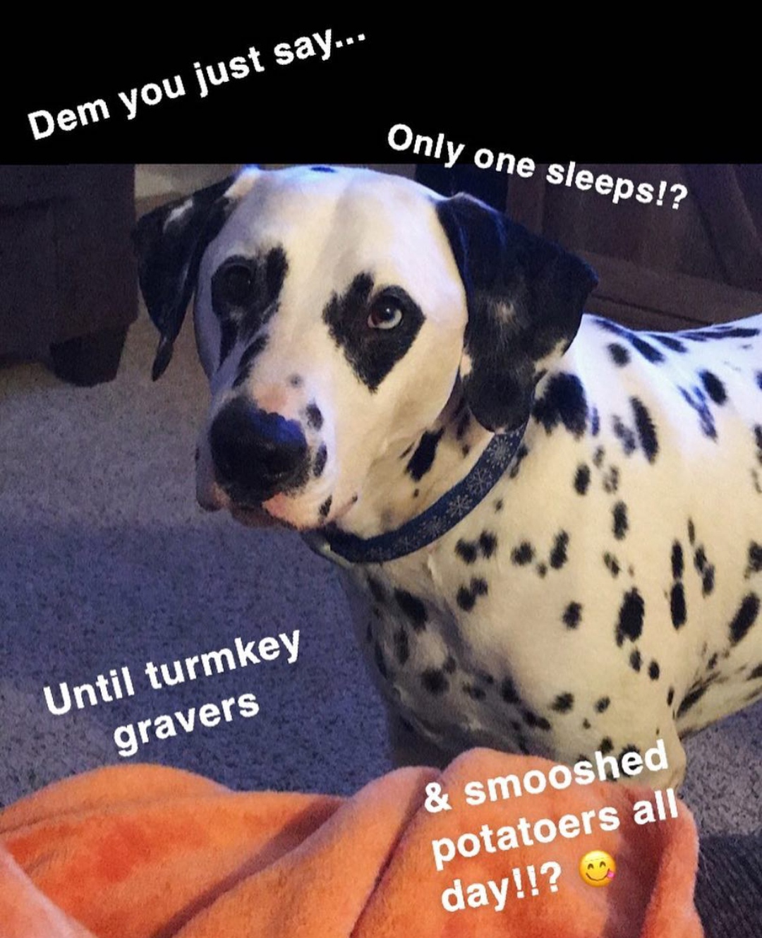 15 Funny Dalmatian Memes To Make Your Day 9