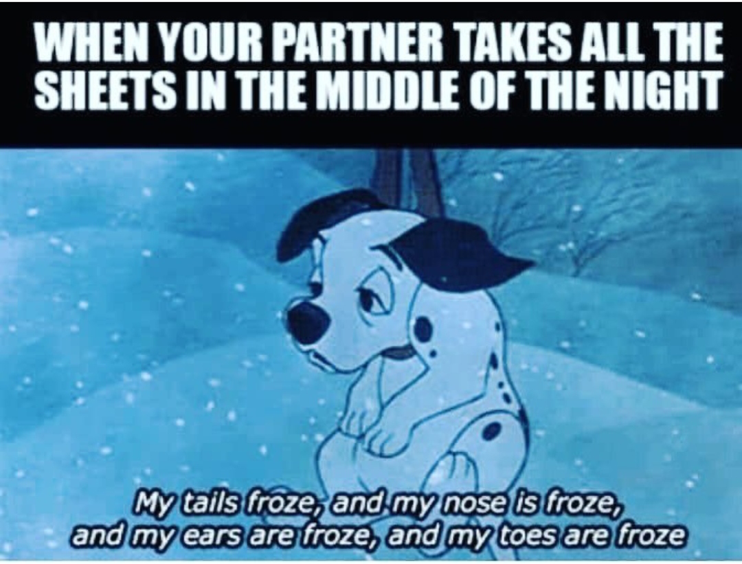 15 Funny Dalmatian Memes To Make Your Day 10