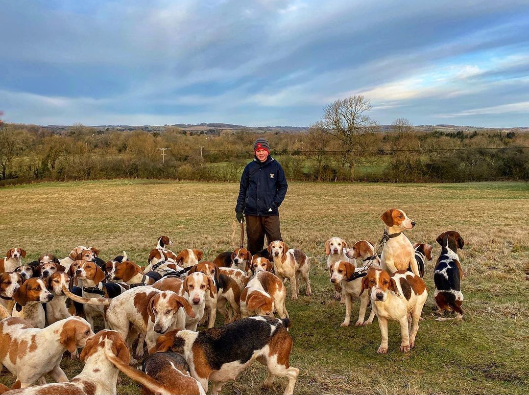 15 Reasons Why You Should Never Own Beagles 9