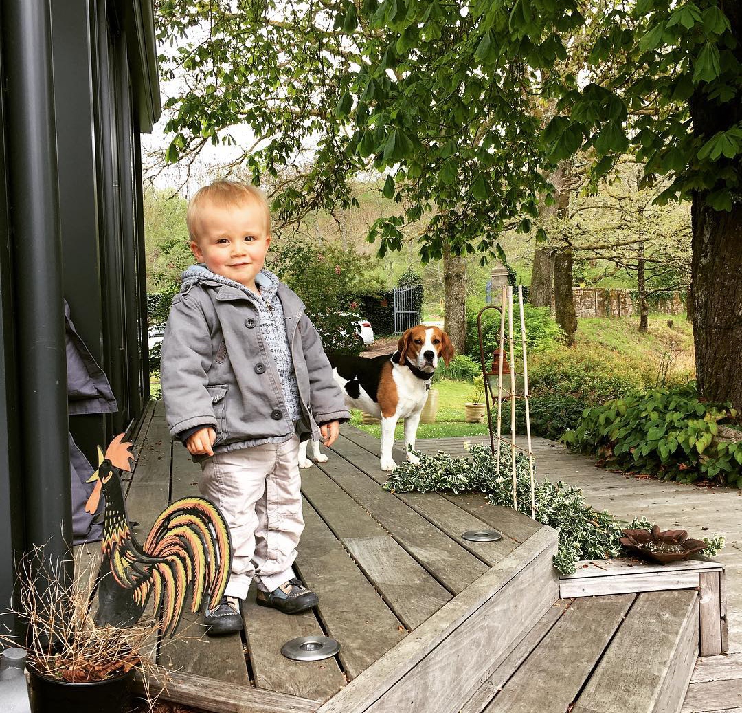 15 Reasons Why You Should Never Own Beagles 10