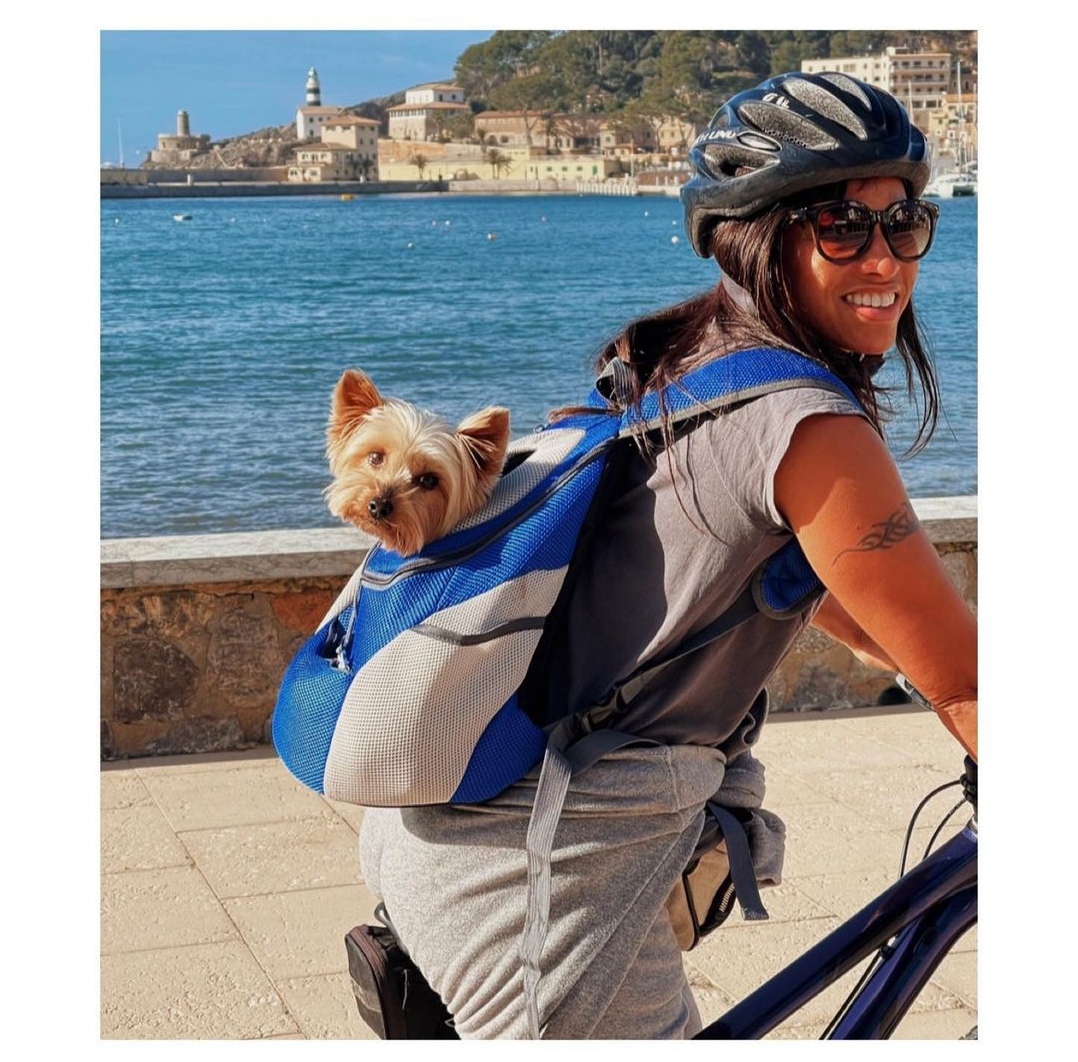 15 Reasons Why You Should Never Own Yorkies 11 15 Reasons Why You Should Never Own Yorkies 11