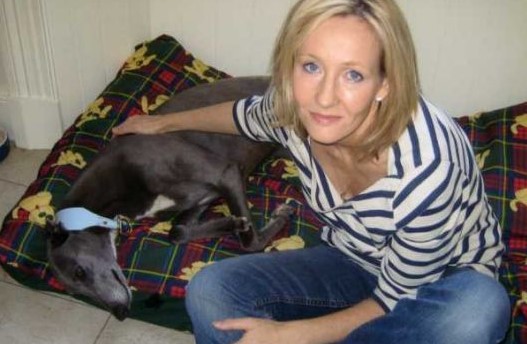 13 Celebrities Who Are Major Greyhound Lovers 11