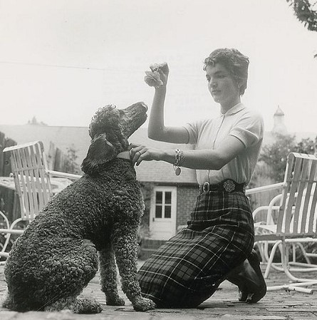 16 Celebrities Who Are Major Poodle Lovers 11