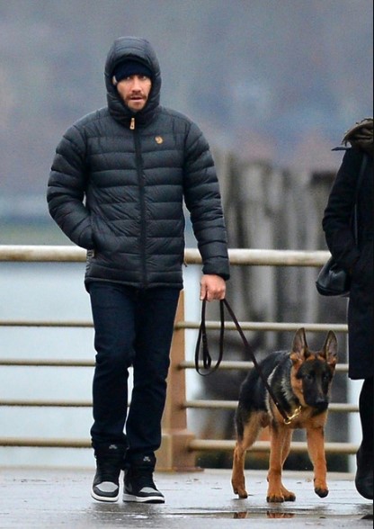 15 Celebrities Who Are Major German Shepherd Lovers 11