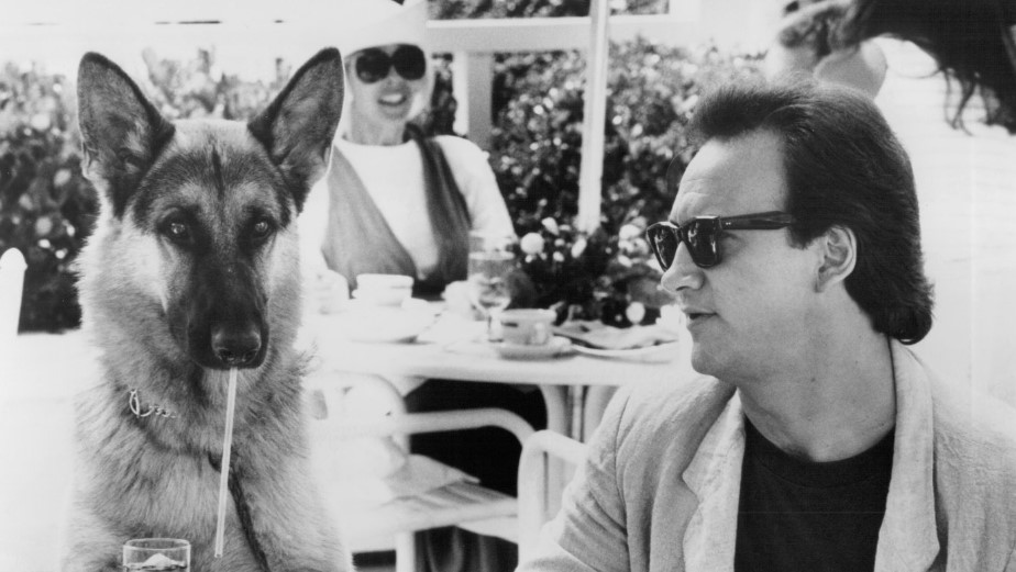 15 Celebrities Who Are Major German Shepherd Lovers 9