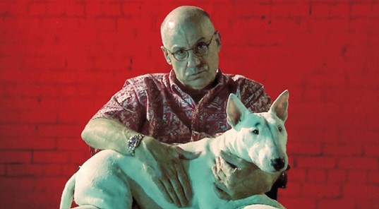 15 Celebrities Who Are Major English Bull Terrier Lovers 40 15 Celebrities Who Are Major English Bull Terrier Lovers 40