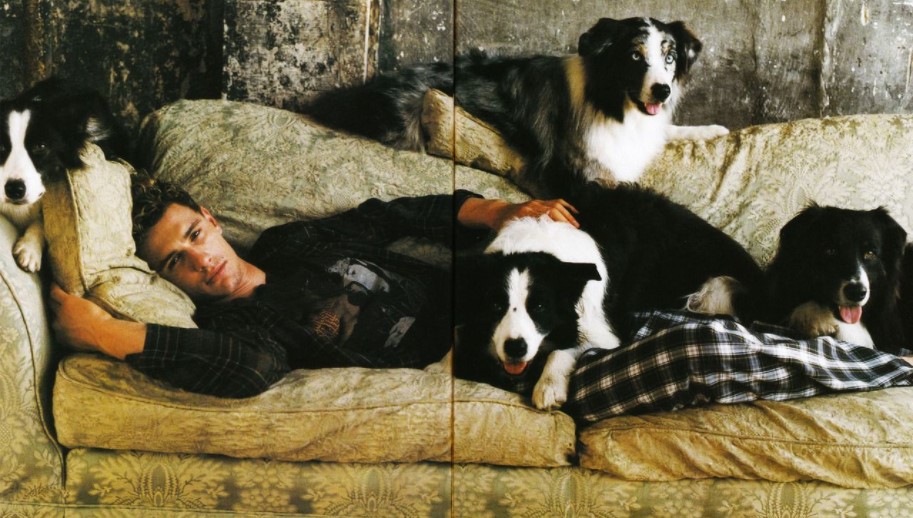12 Celebrities Who Are Major Border Collie Lovers 9