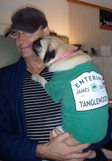 15 Celebrities Who Are Major Pug Lovers 39 15 Celebrities Who Are Major Pug Lovers 39