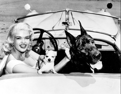 15 Celebrities Who Are Major Great Dane Lovers 11