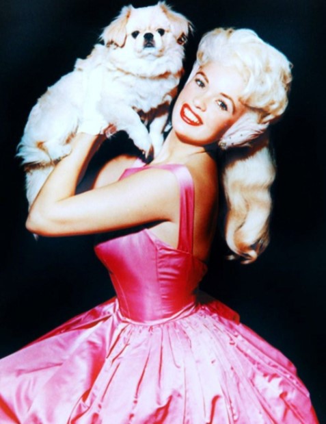 14 Celebrities Who Are Major Pekingese Lovers 11