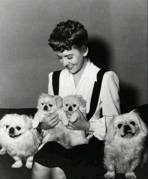 14 Celebrities Who Are Major Pekingese Lovers 9