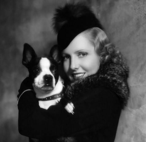 12 Celebrities Who Are Major Boston Terrier Lovers 11