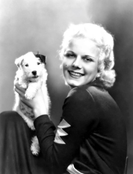 13 Celebrities Who Are Major Jack Russell Lovers 10