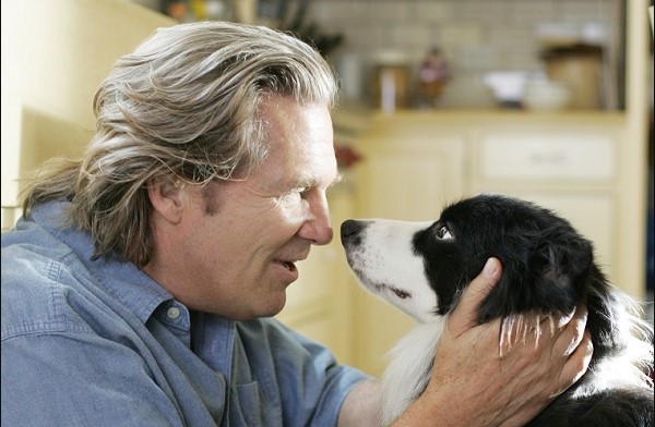 12 Celebrities Who Are Major Border Collie Lovers 10