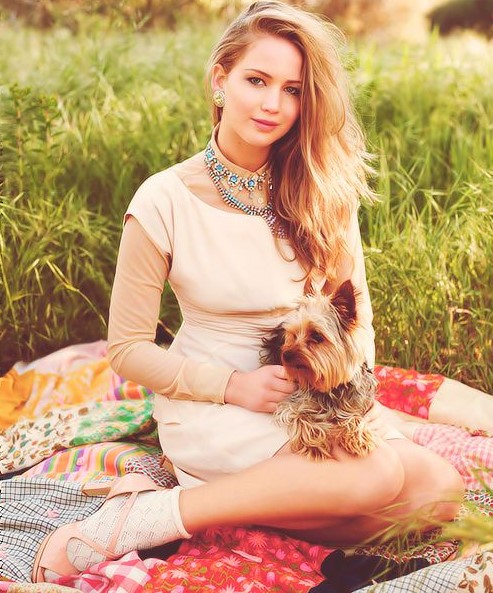 15 Celebrities Who Are Major Yorkie Lovers 9