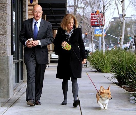 12 Celebrities Who Are Major Corgi Lovers 10