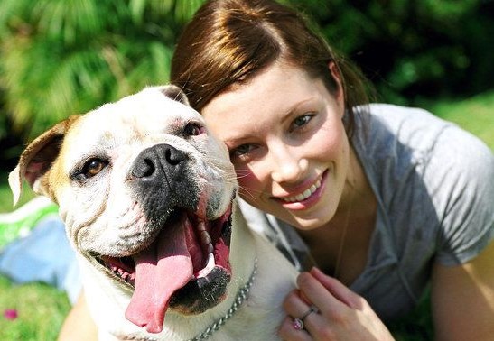 15 Celebrities Who Are Major English Bulldog Lovers 9