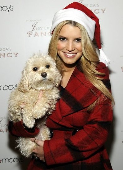 15 Celebrities Who Are Major Bichon Frise Lovers 10