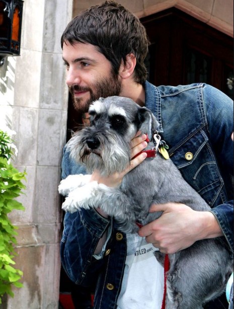 15 Celebrities Who Are Major Schnauzer Lovers 10