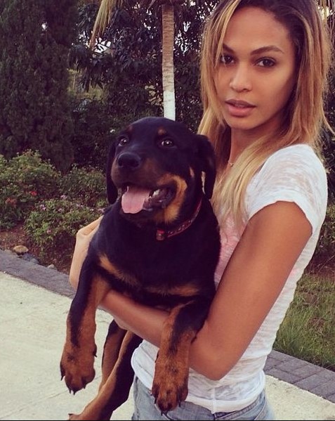 10 Celebrities Who Are Major Rottweiler Lovers 9