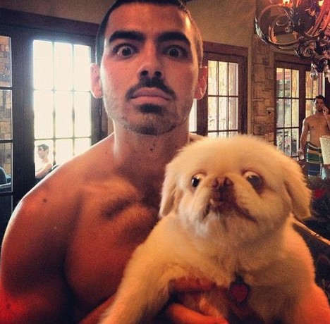14 Celebrities Who Are Major Pekingese Lovers 11